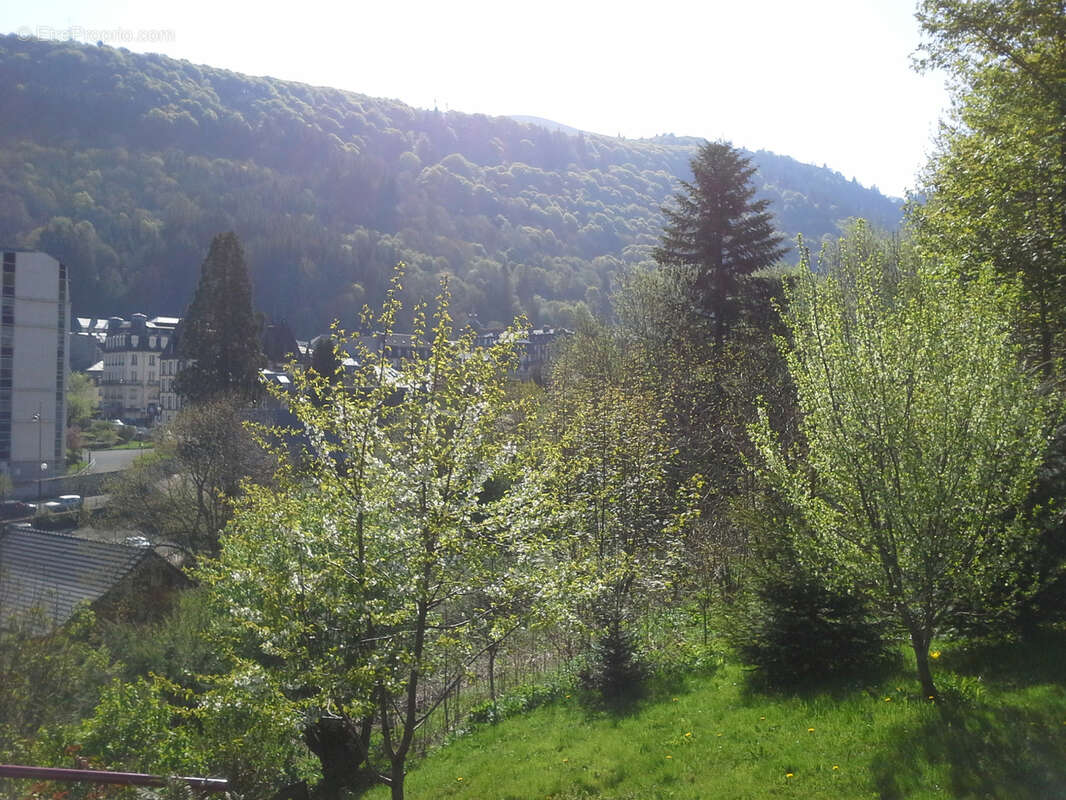 Appartement à MONT-DORE