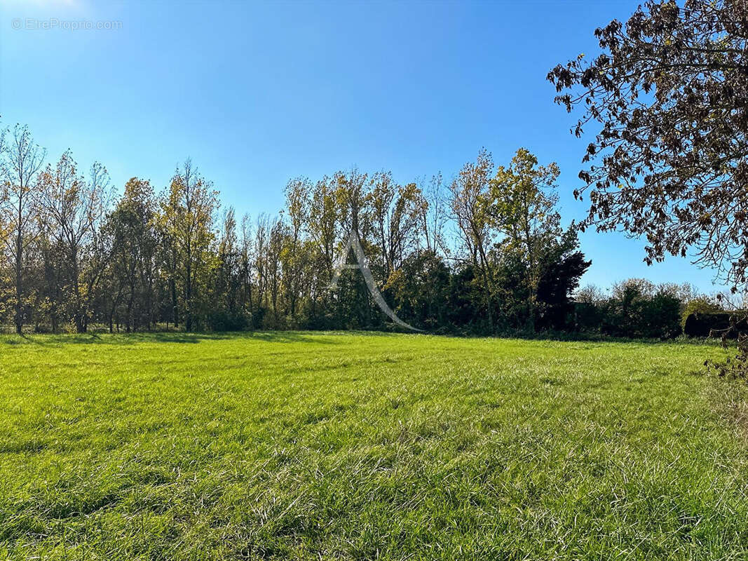 Terrain à LE PERRIER