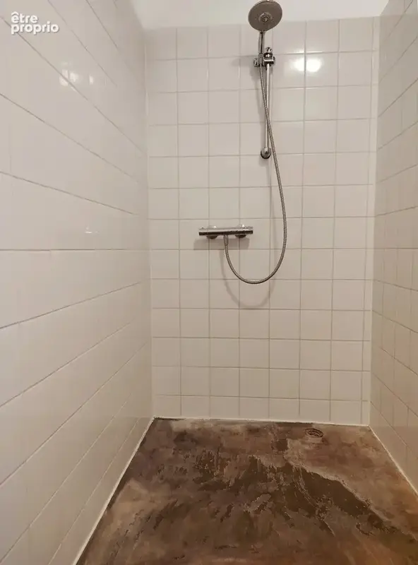 Maison de village de caractère a vendre, Haute-Marne - photo 30