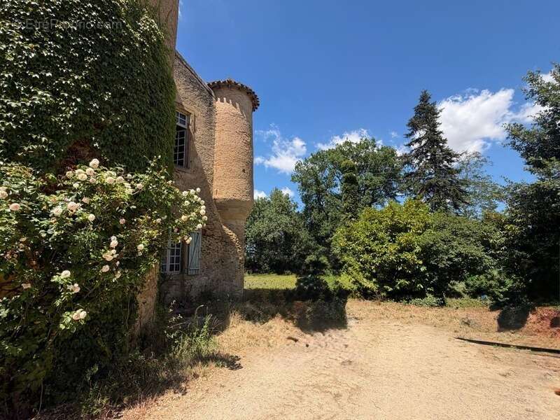 MARCIAC(32): ancienne SEIGNEURIE avec BEAU CHATEAU XIV sur 3,5ha, cachée, au bout du chemin, sans voisin, en campagne, 500m2 hab - photo 56