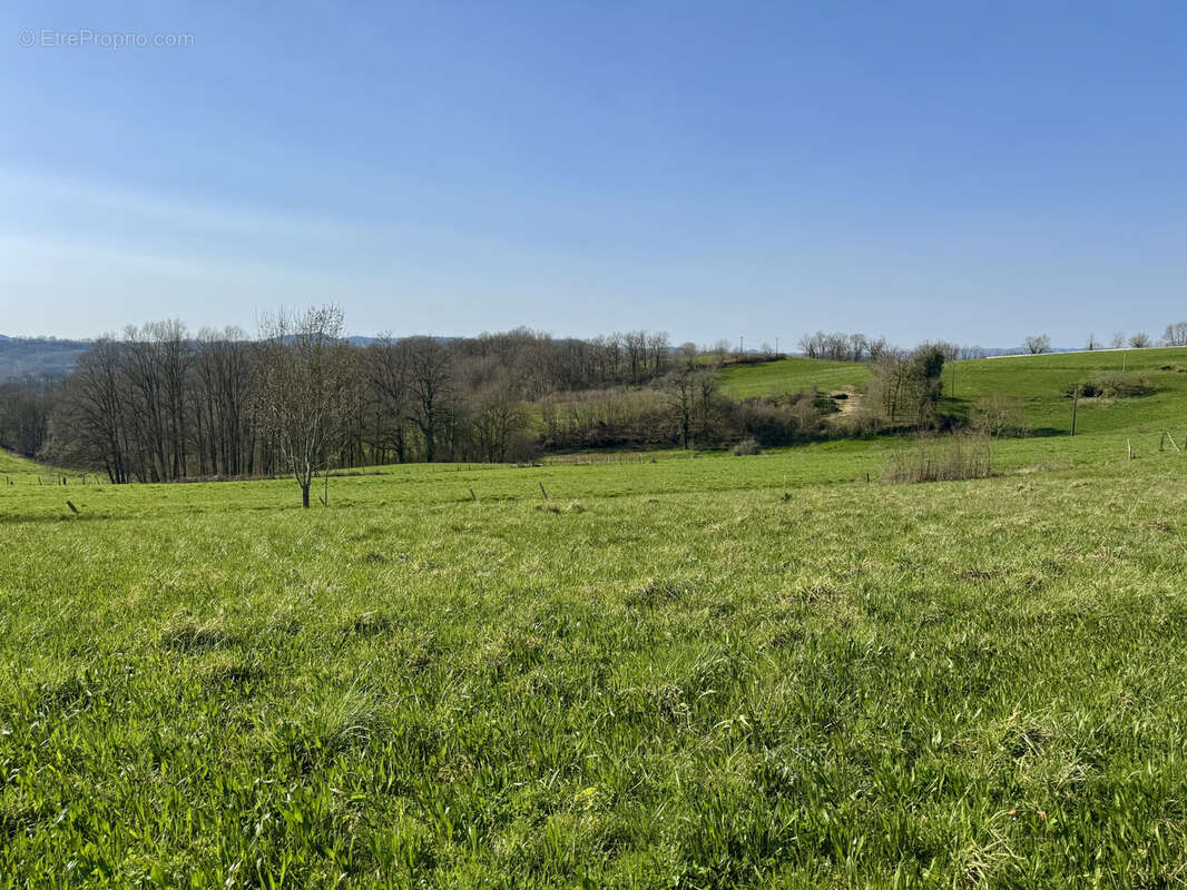 Terrain à ALLASSAC