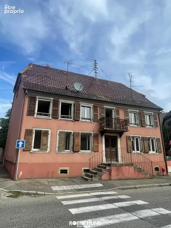 DANNEMARIE : Maison individuelle avec 2 appartements + dépendance - photo 1