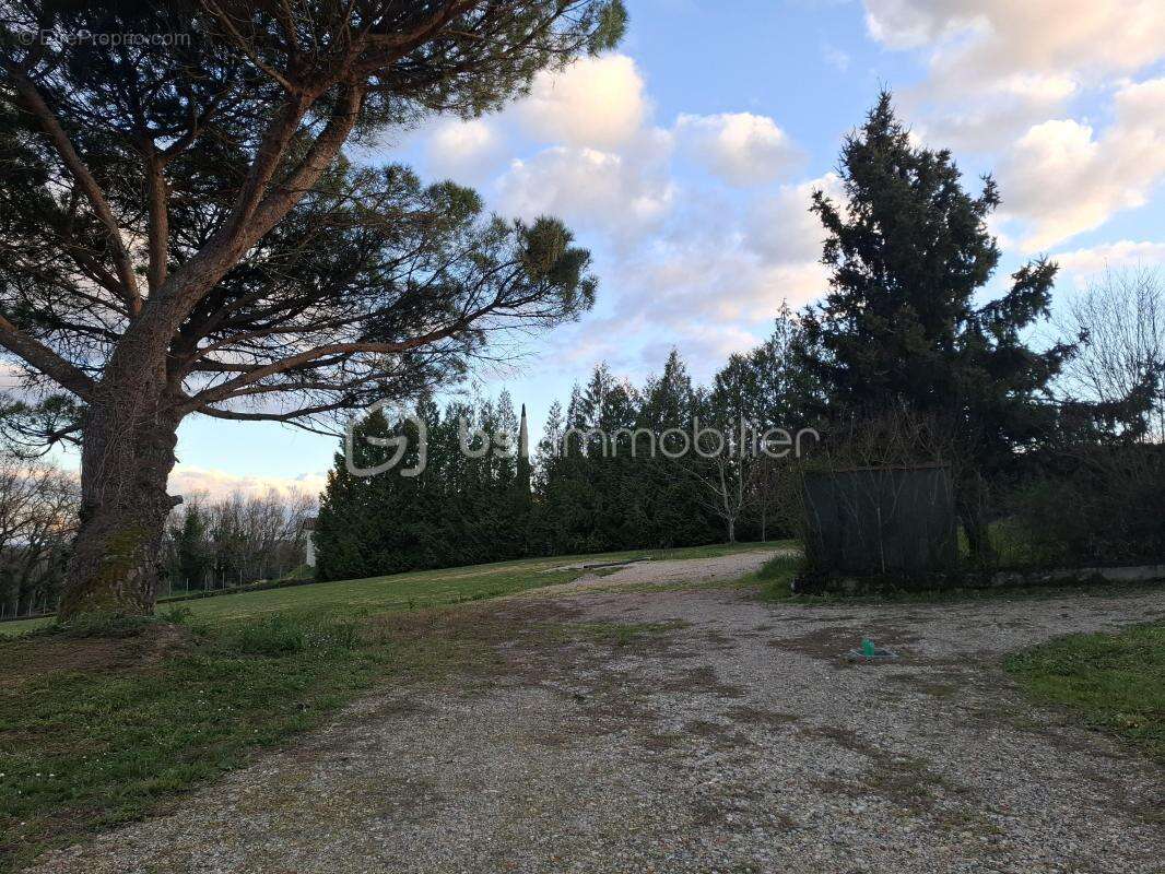 Terrain constructible 1165 m² – Viabilisé – Vue sur coteaux – Sainte-Colombe - photo 5