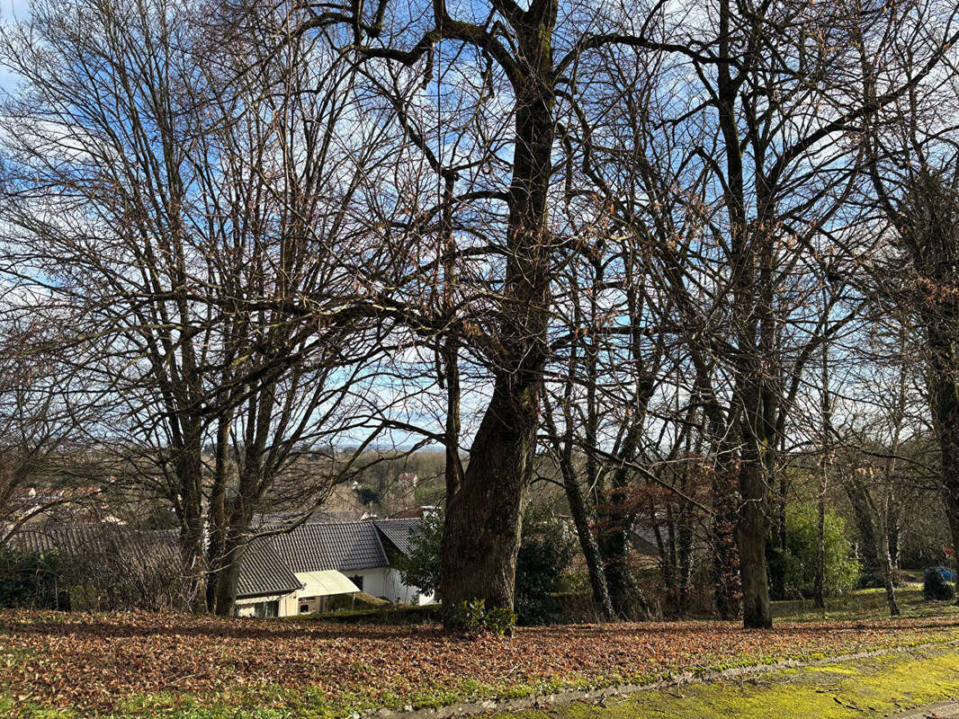 Terrain à ROZERIEULLES
