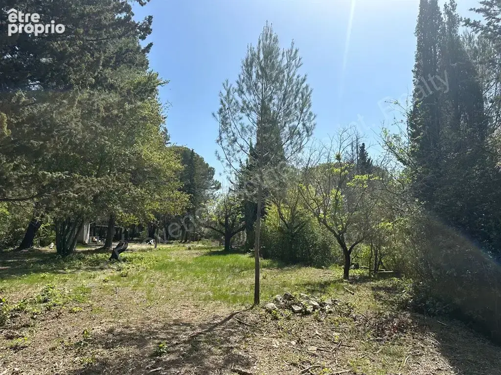 Maison à rénover sur grand terrain - photo 1