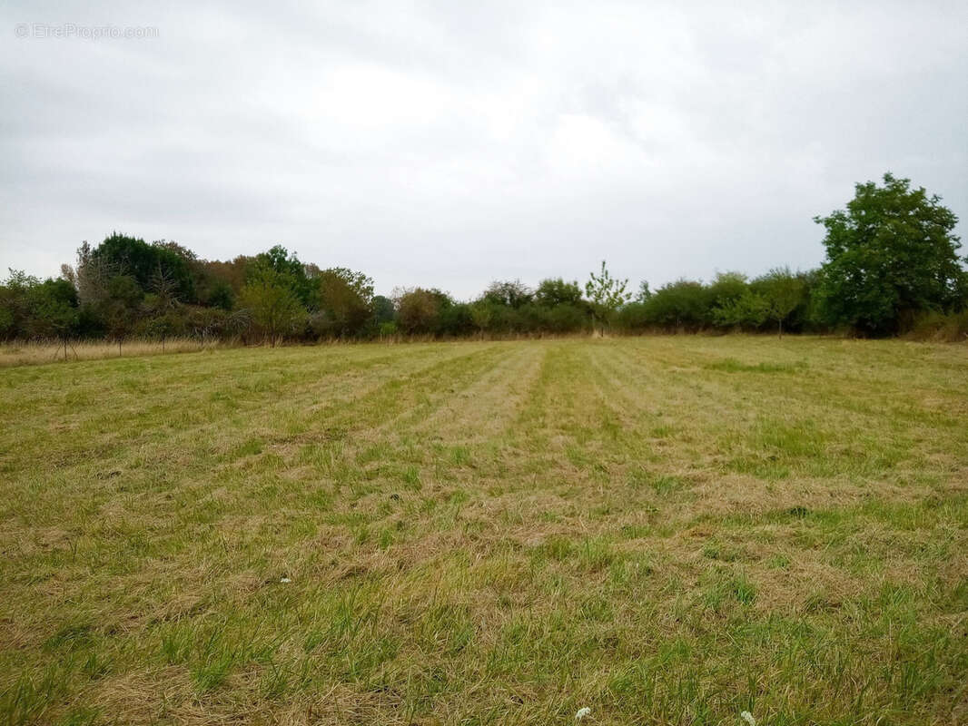 Maison à SAINT-LEGER-LE-PETIT