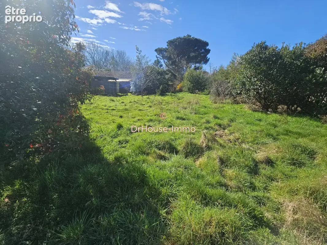 Terrain 5 009 m² à vendre à Gastes (40160) - photo 11