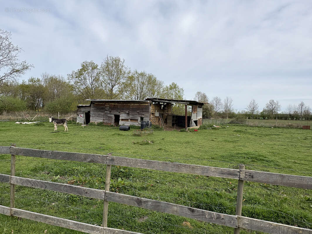 Maison à LE BOSC-RENOULT