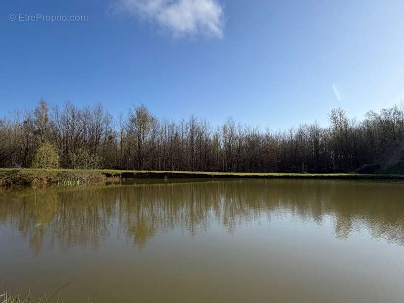 Maison à SAINT-DIZIER