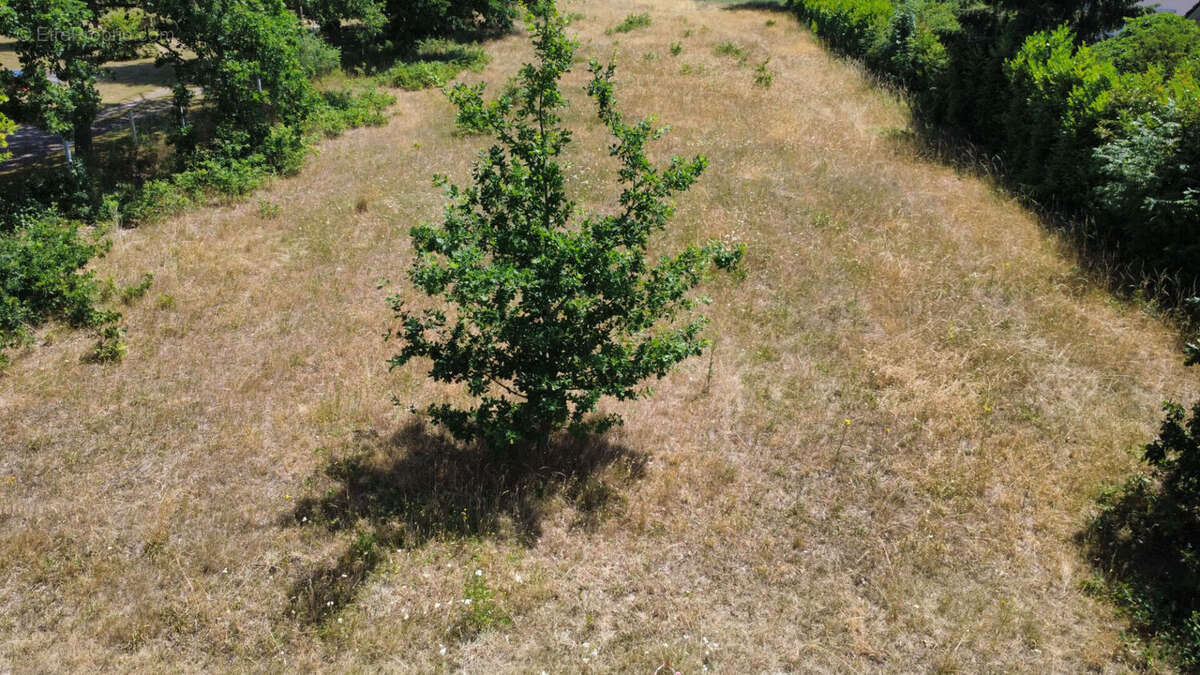 Terrain Yville Sur Seine 7514 m2 - photo 6