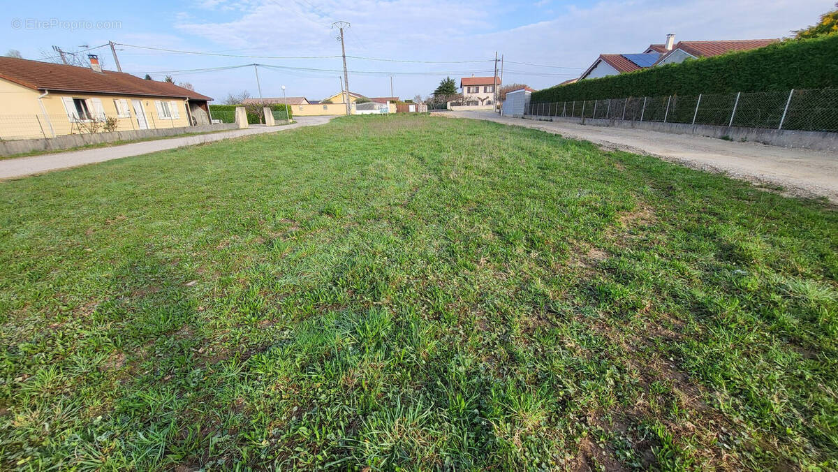 Terrain à BEAUREPAIRE