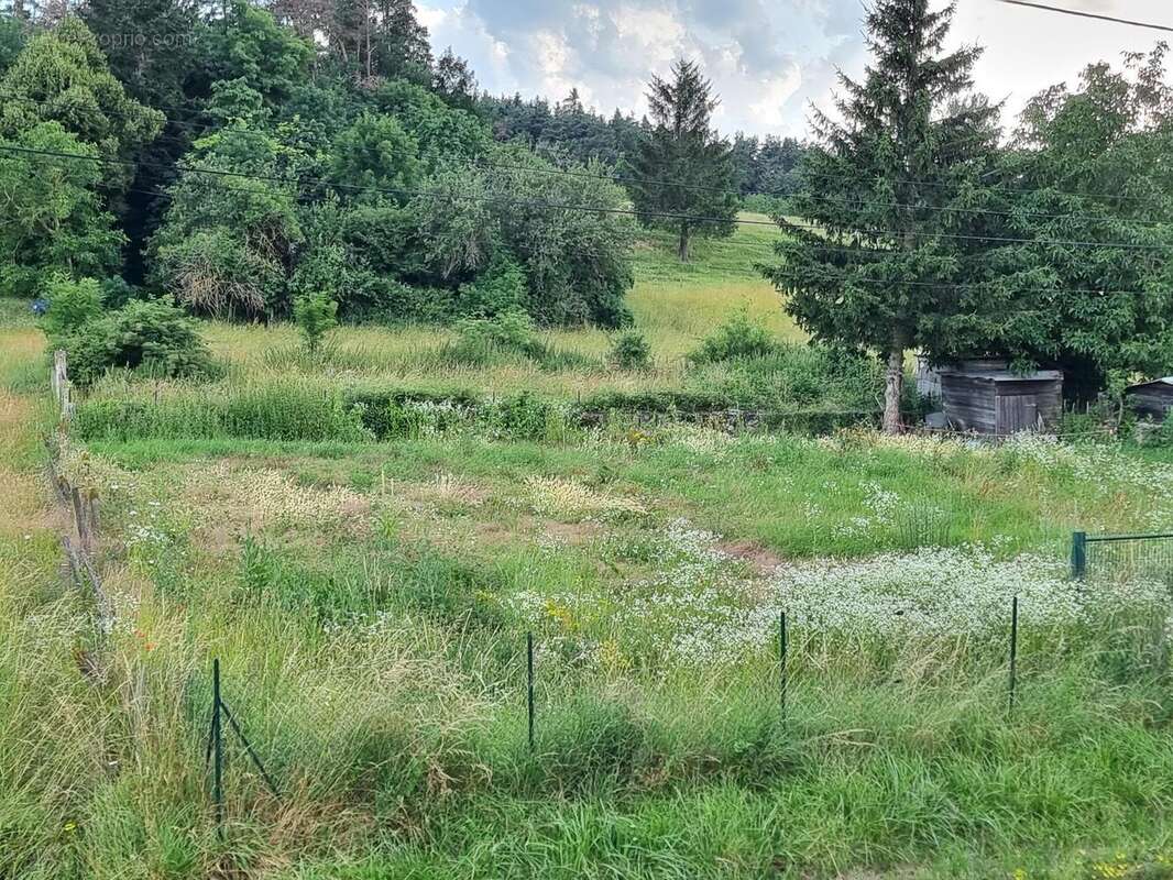 Photo 2 - Maison à LANTRIAC