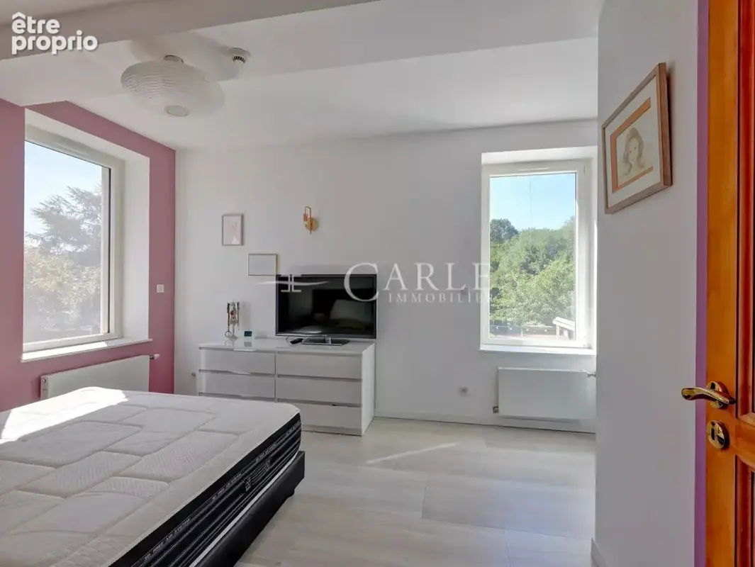 Propriété familiale sur Manissieux - photo 11