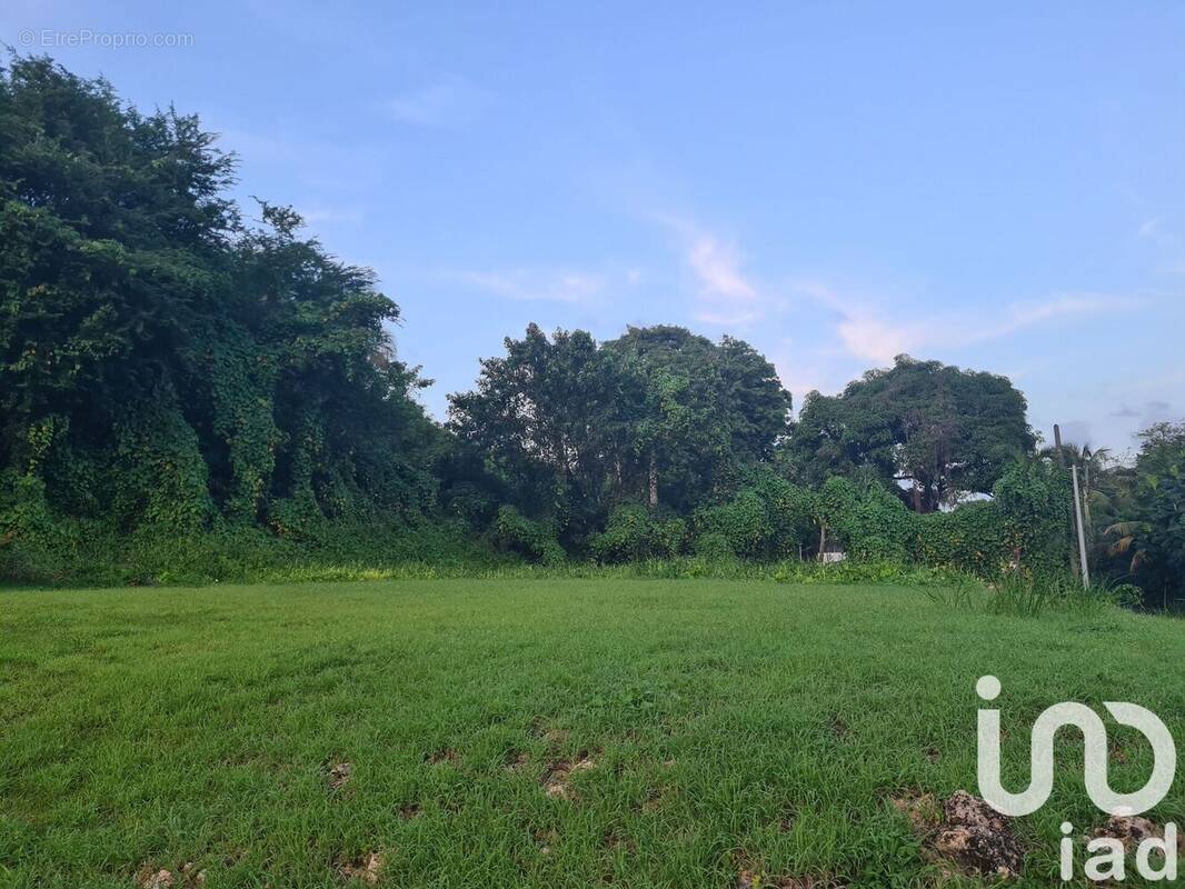 Photo 1 - Terrain à MORNE-A-L&#039;EAU