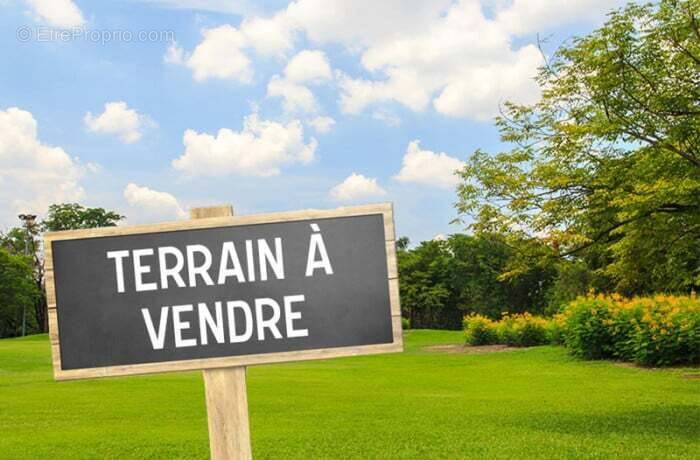 Terrain à SAINT-DENIS-EN-VAL