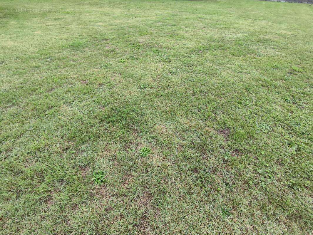 Terrain à SAINT-LUMINE-DE-COUTAIS