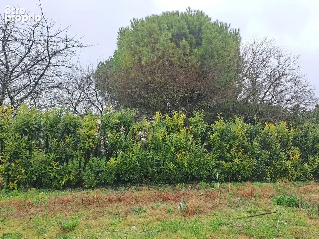 Terrain 300 m² à vendre à Saint-Sulpice-De-Royan (17200) - photo 2