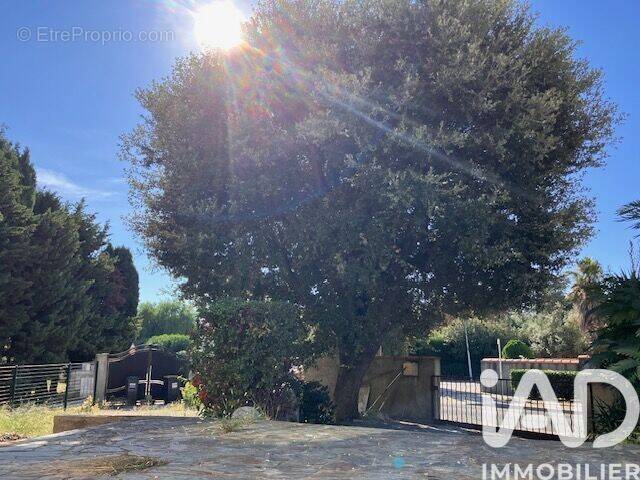 Photo 1 - Appartement à LE SOLER