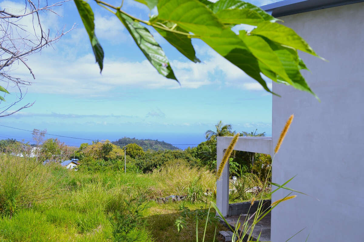Maison à SAINT-JOSEPH