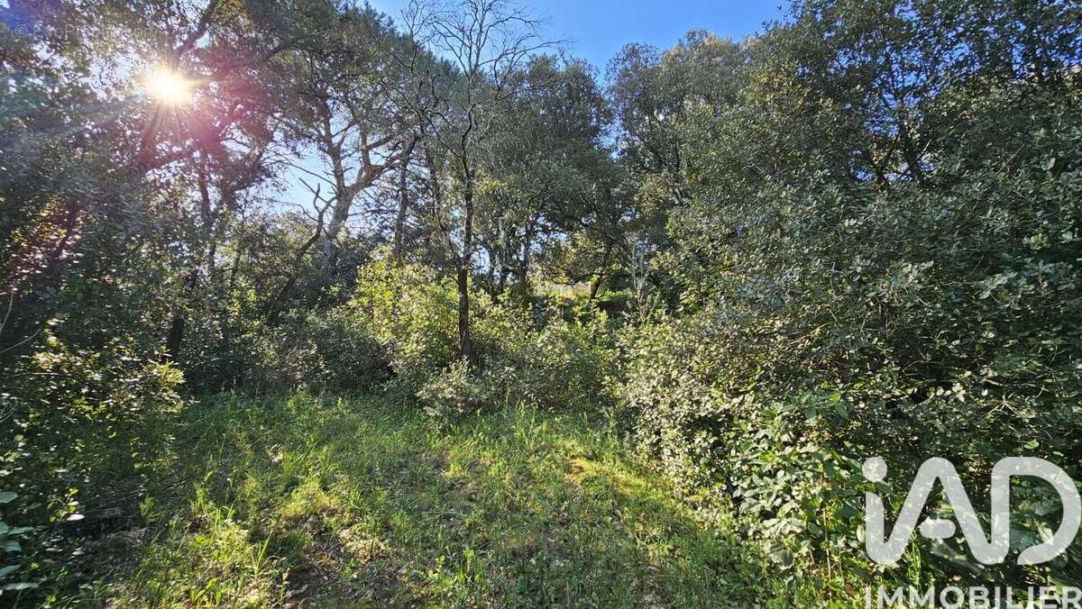 Terrain 1177 m² à Sabran  - photo 3
