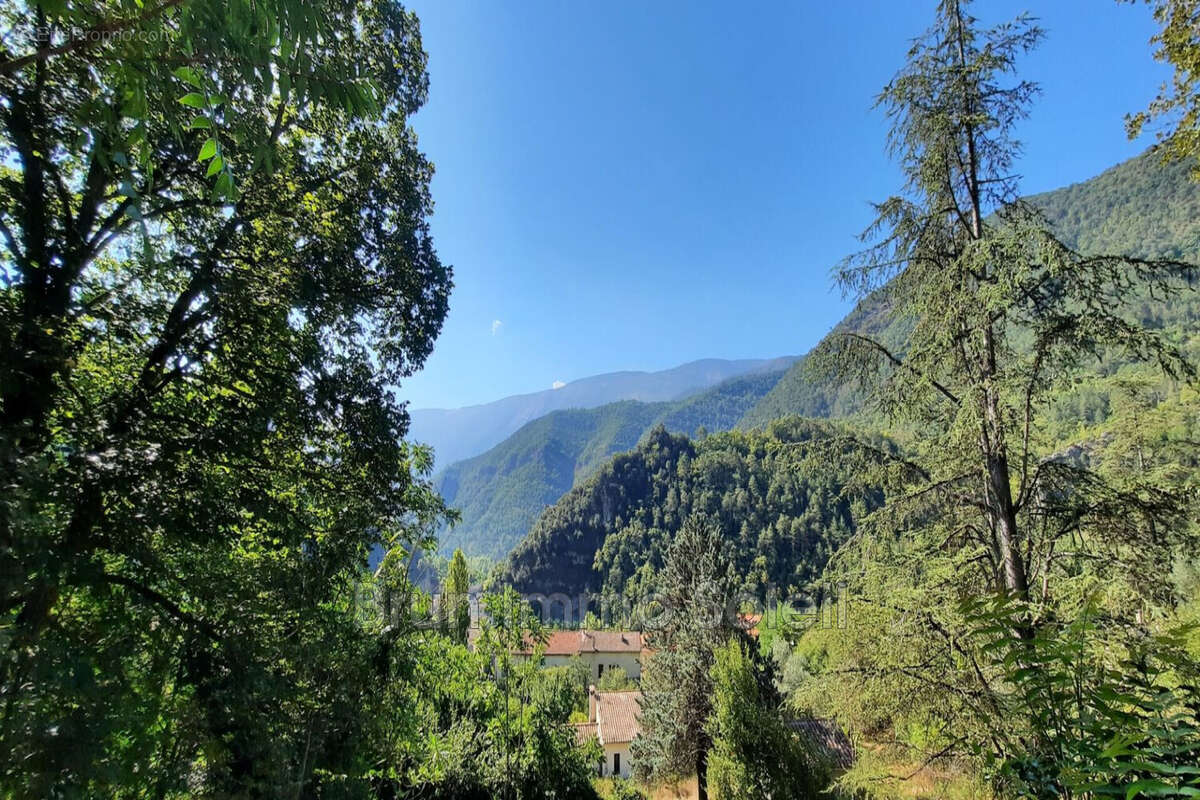 Terrain à ROQUESTERON