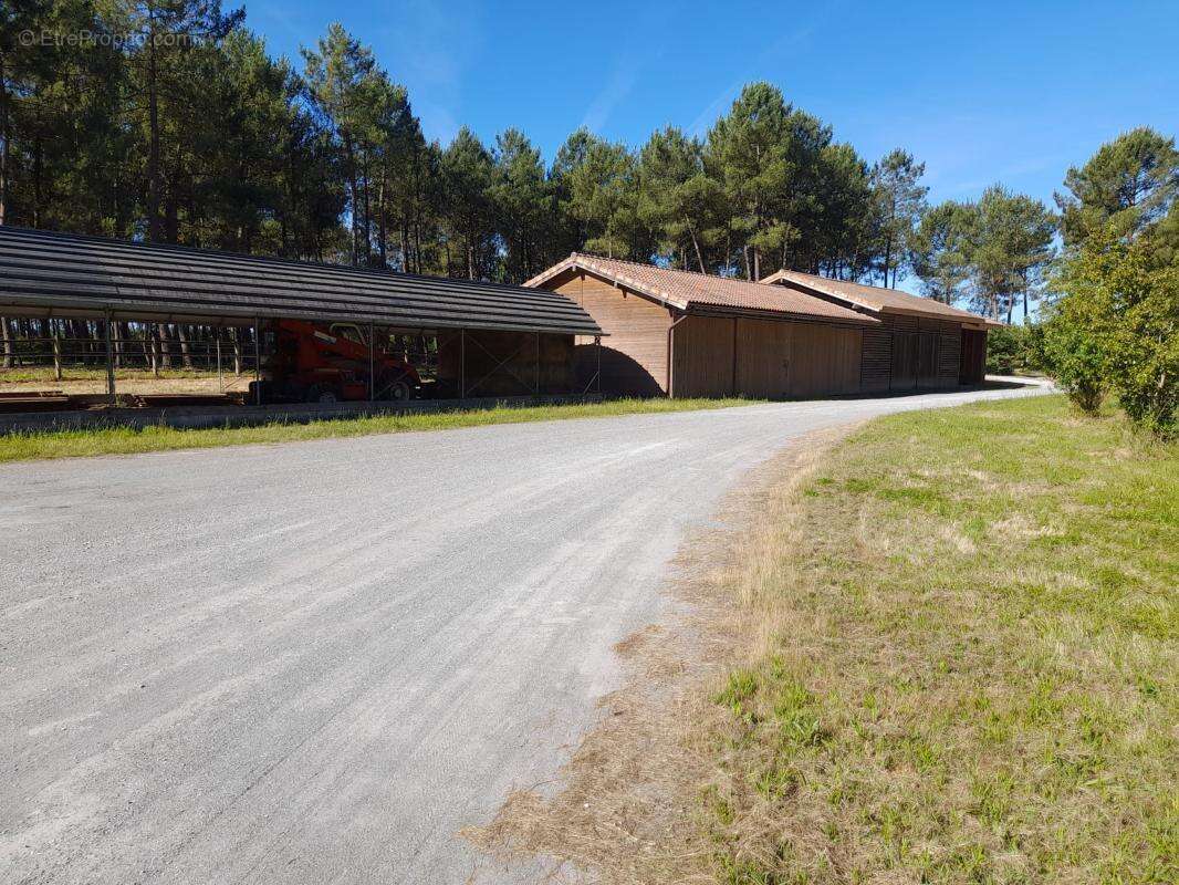 Maison 630 m² à Biscarrosse  - photo 43
