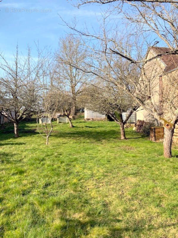 Maison à CERISIERS