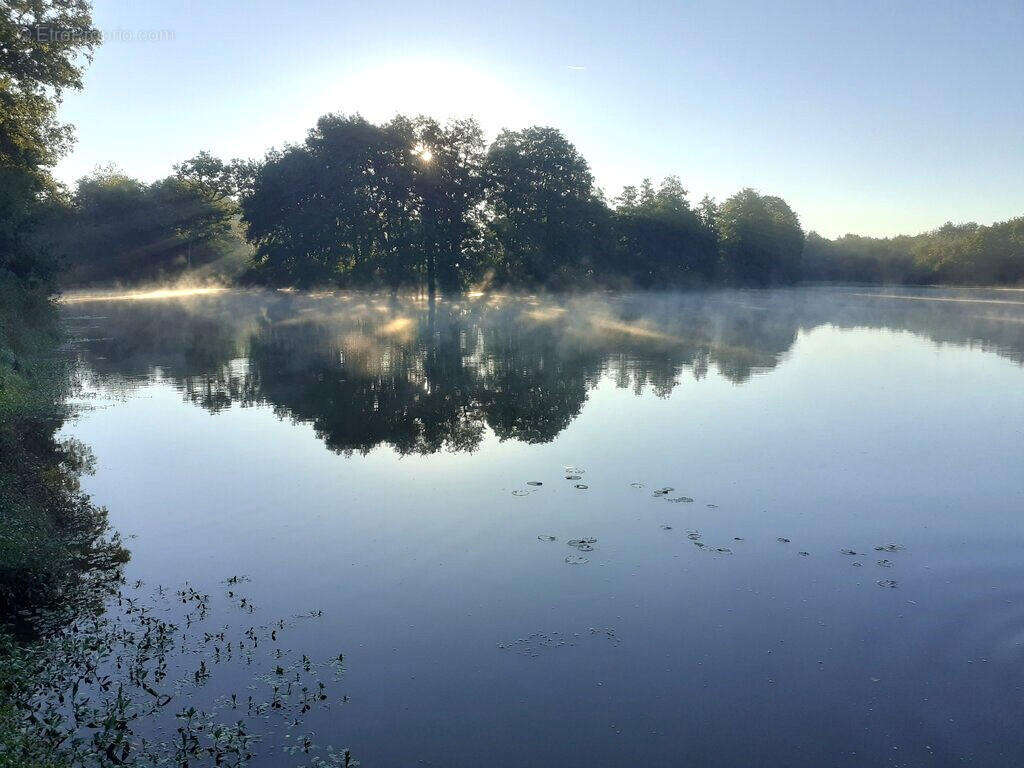 LAC - Maison à ASNIERES-SUR-BLOUR