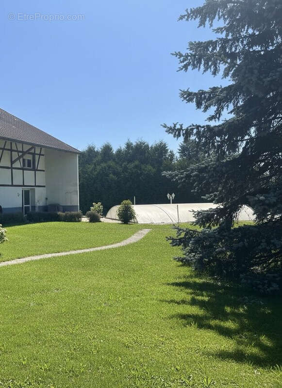 Maison à CHAVANNES-SUR-L'ETANG