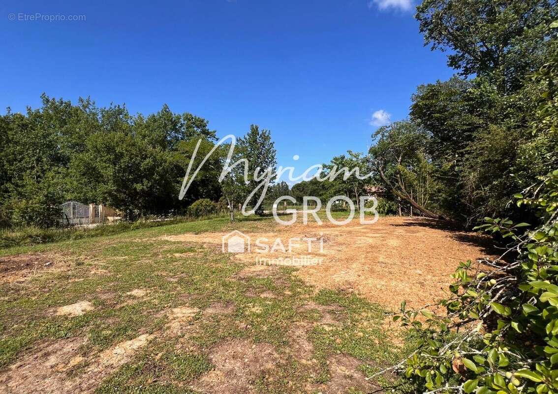Terrain 1229 m² à Montauban  - photo 3