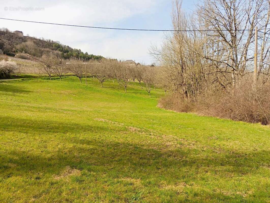 Vente Terrain Beaulieu-sur-dordogne(19120) 29 000ï¿œ - photo 2