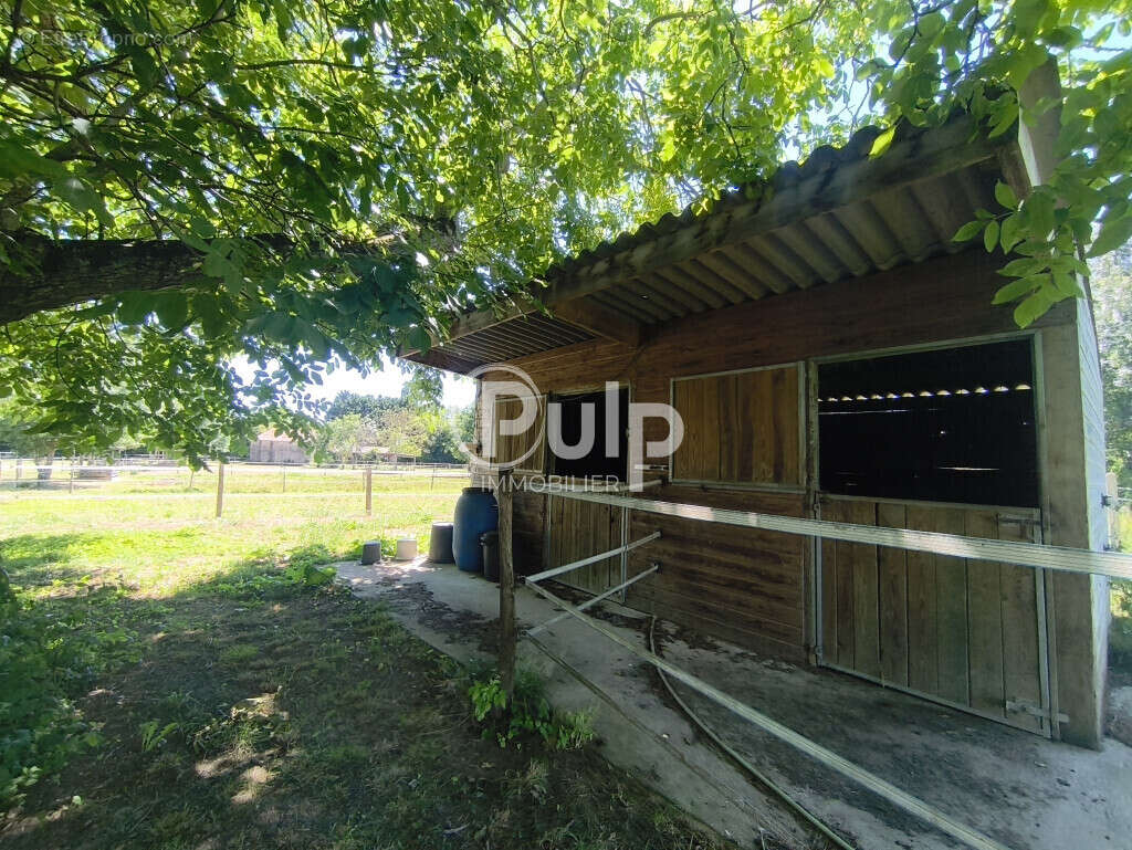 Propriété Equestre Bernay Saint Martin - photo 12