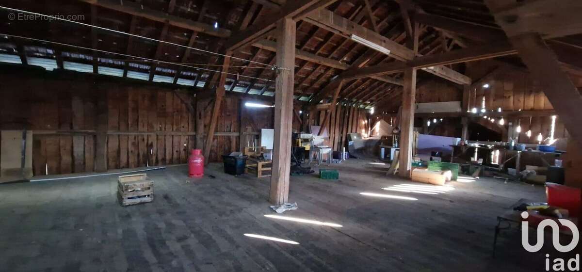 Photo 7 - Commerce à SAINT-PAUL-EN-BORN