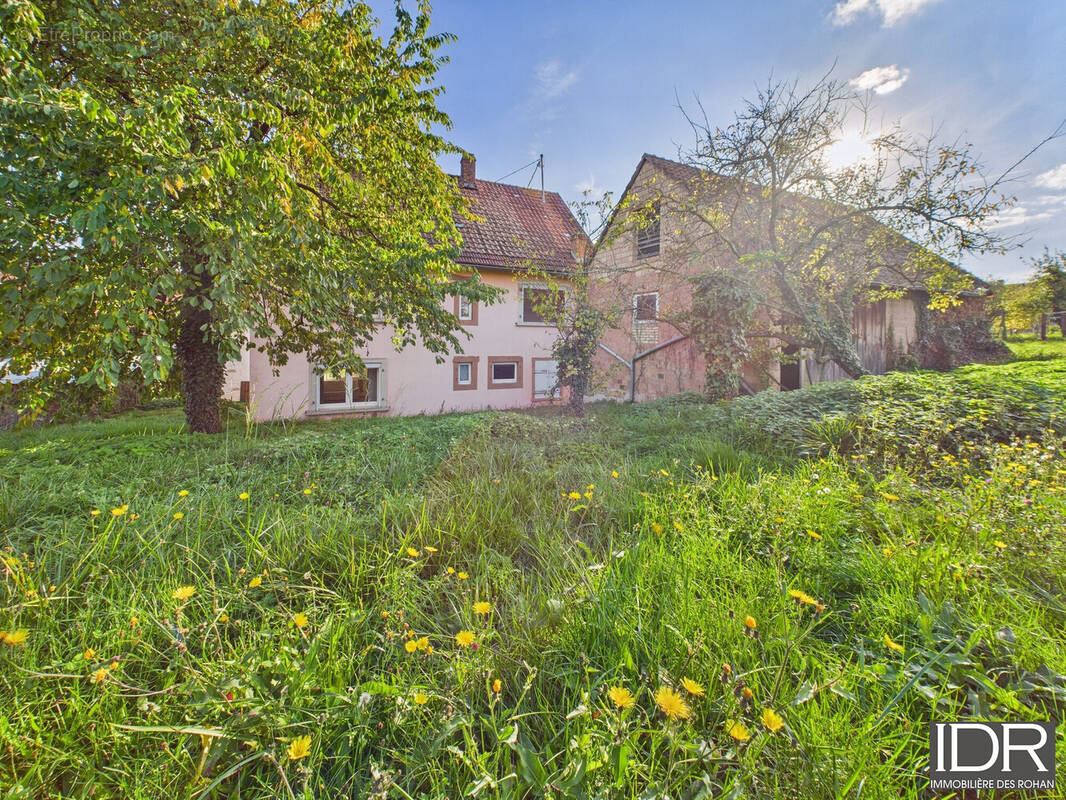 Maison à WESTHOUSE-MARMOUTIER