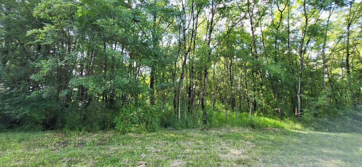 Maison à CHERVES-RICHEMONT