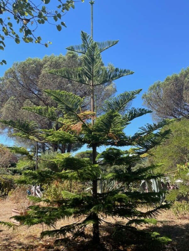 Maison à SAINTE-MAXIME