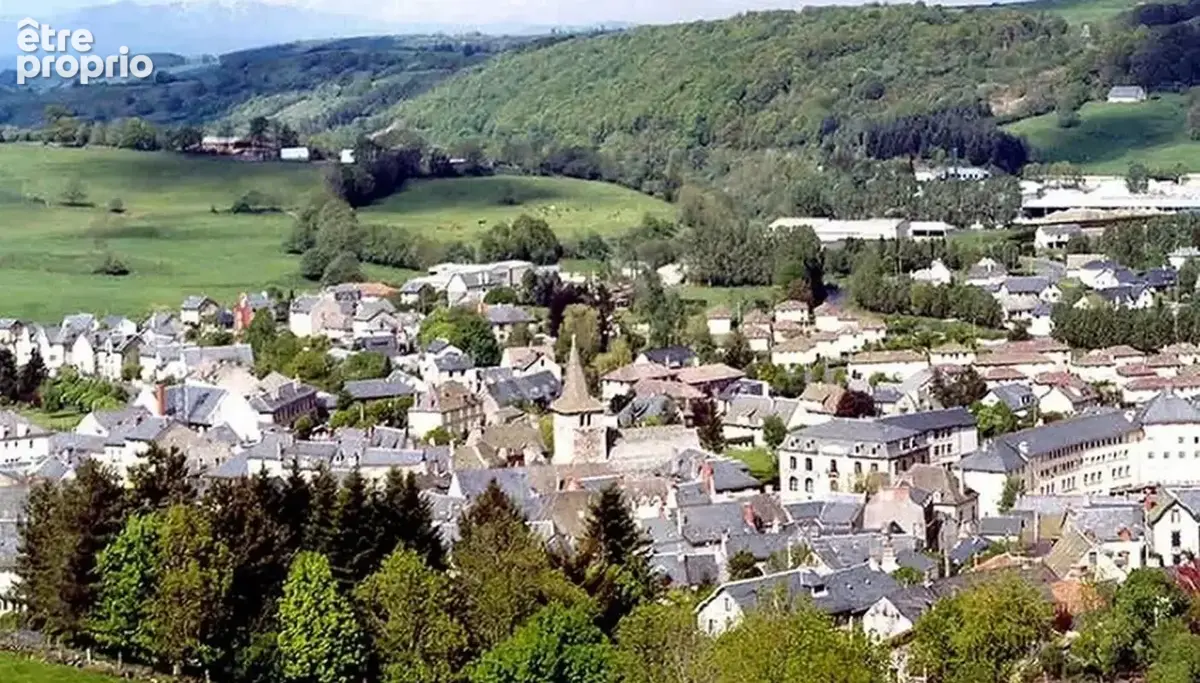 RIOM-ES-MONTAGNES  : Idéal investissement locatif - photo 4