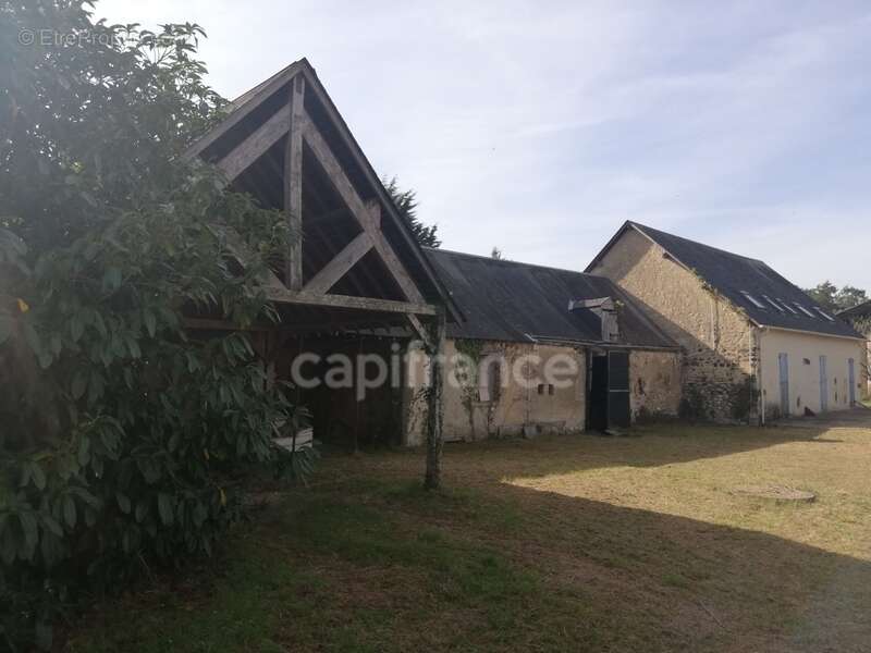 Dpt Sarthe (72), à vendre ALLONNES - POUR INVESTISSEURS - maison P6   SH 180m2 - terrain 2841 m2 - photo 3