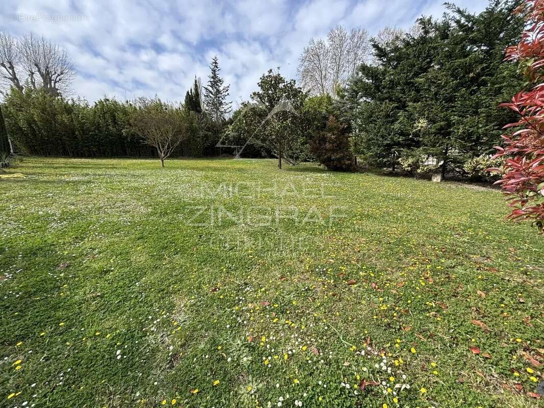 Terrain à SAINT-REMY-DE-PROVENCE