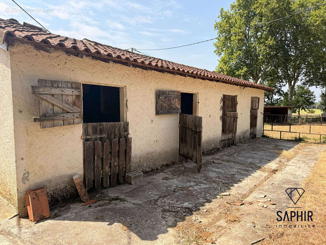 Maison 5 pièces à vendre à Daux - 186 m² sur terrain de 4890 m² - photo 7