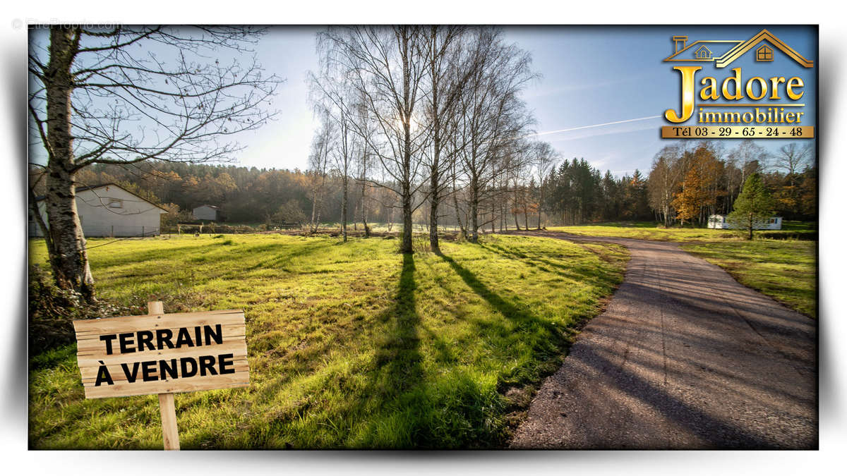 Terrain à SAULCY-SUR-MEURTHE