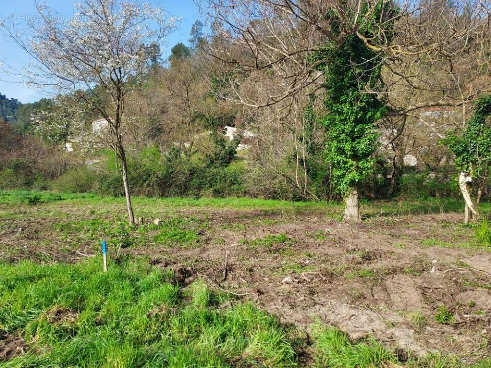 Terrain 1990 m² à Sollies-Toucas  - photo 3