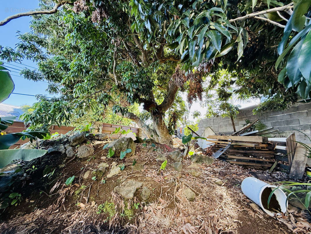 Maison à PETITE-ILE