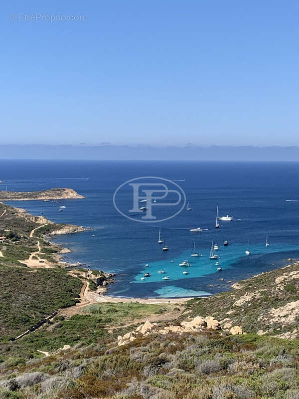 Appartement à CALVI