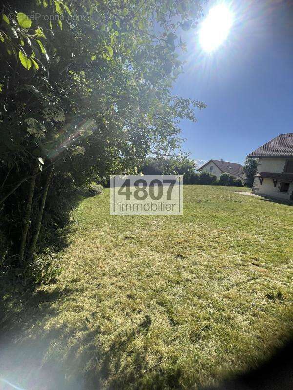 CRANVES-SALES   Ferme rénovée avec vue sur les montagnes et - photo 3