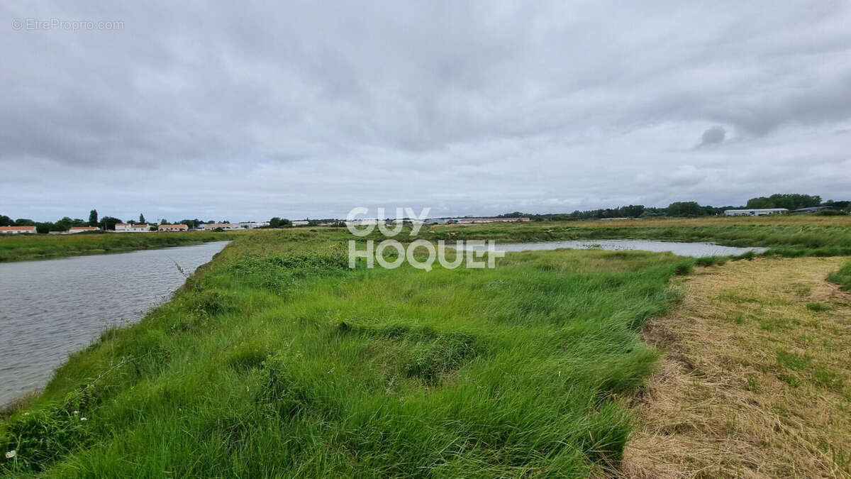 Terrain à SAINT-HILAIRE-DE-RIEZ