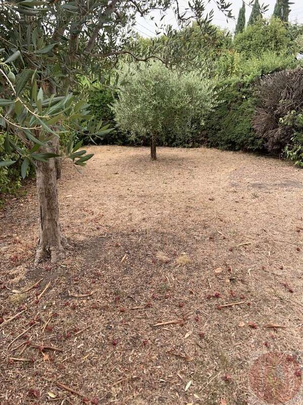Maison de caractère avec jardin et garage - photo 3