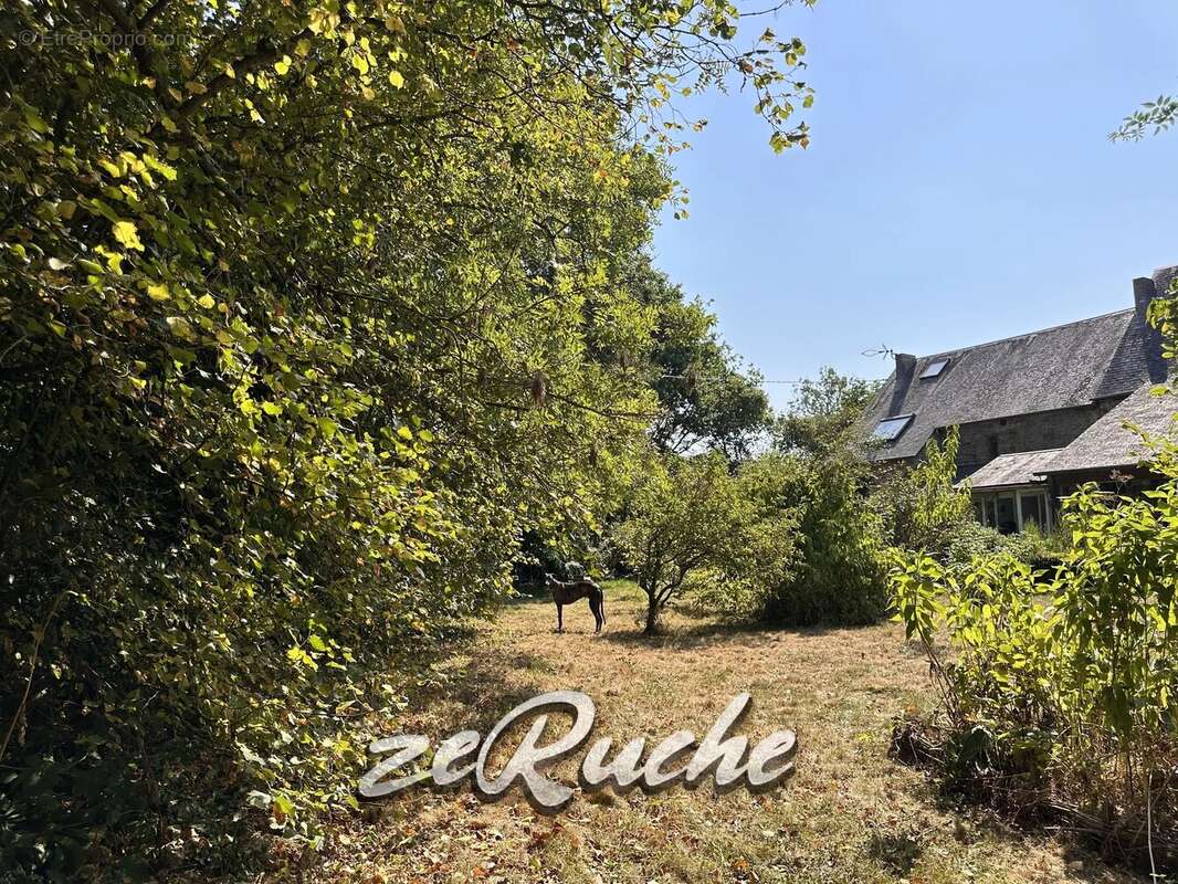 Grande maison de caractère à Cahagnes de 411m², 3 chambres d'hôtes et 2 gîtes - photo 52