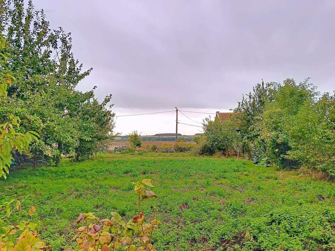 Photo 2 - Terrain à LE HAMEL