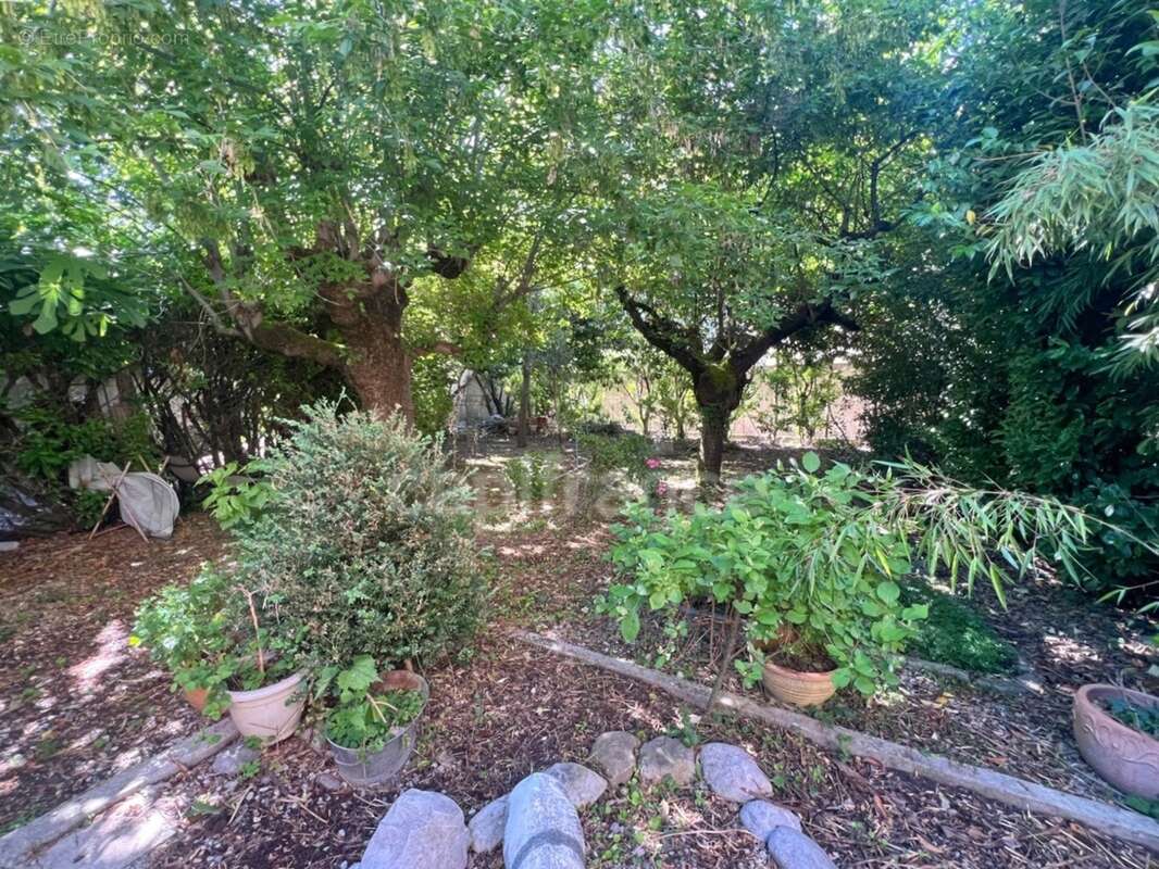 Maison à vendre à Digne-les-Bains – 115 m², 4 chambres, jardin arboré de 300 m², fort potentiel - photo 4
